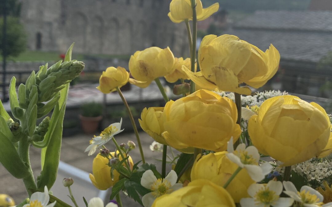 Les émotions se bousculent